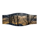 Tree Silhouette At Border Of Nahuel Haupi Lake, Rio Negro, Argentina Stretchable Headband