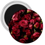 Floral Buds Of Roses Beautiful Flowers 3  Magnets