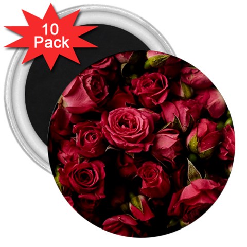 Floral Buds Of Roses Beautiful Flowers 3  Magnets (10 pack)  from ArtsNow.com Front