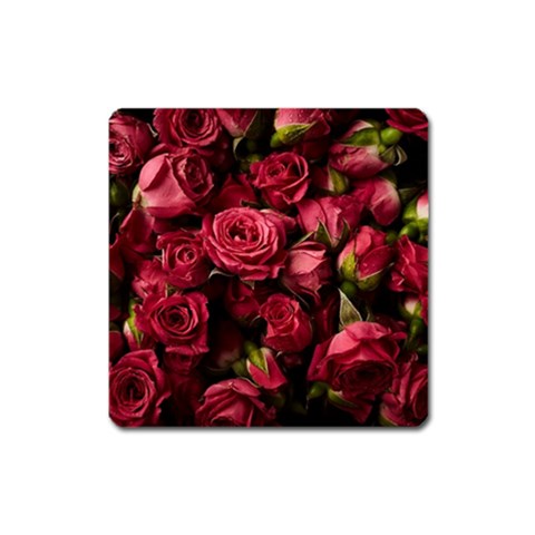 Floral Buds Of Roses Beautiful Flowers Square Magnet from ArtsNow.com Front