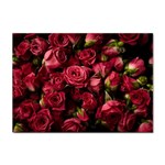 Floral Buds Of Roses Beautiful Flowers Sticker A4 (100 pack)