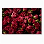 Floral Buds Of Roses Beautiful Flowers Postcard 4 x 6  (Pkg of 10)