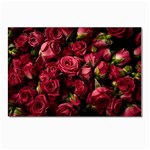 Floral Buds Of Roses Beautiful Flowers Postcards 5  x 7  (Pkg of 10)