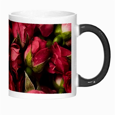 Floral Buds Of Roses Beautiful Flowers Morph Mug from ArtsNow.com Right