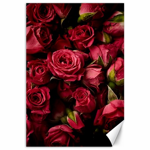 Floral Buds Of Roses Beautiful Flowers Canvas 12  x 18  from ArtsNow.com 11.88 x17.36  Canvas - 1