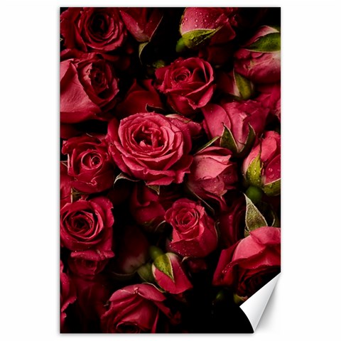 Floral Buds Of Roses Beautiful Flowers Canvas 20  x 30  from ArtsNow.com 19.62 x28.9  Canvas - 1