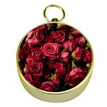 Floral Buds Of Roses Beautiful Flowers Gold Compasses