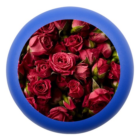 Floral Buds Of Roses Beautiful Flowers Dento Box with Mirror from ArtsNow.com Front