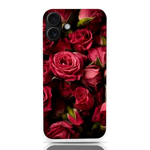 Floral Buds Of Roses Beautiful Flowers iPhone 16 Plus TPU UV Print Case from ArtsNow.com Front