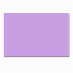 Luscious Lavender Hex #cca3e7 Postcards 5  x 7  (Pkg of 10)