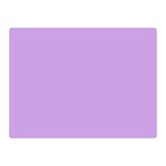 Luscious Lavender Hex #cca3e7 Two Sides Premium Plush Fleece Blanket (Mini)