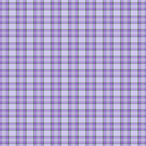 Purple Plaid Tartan 2 7  x 9  Softcover Notebook from ArtsNow.com Front Cover