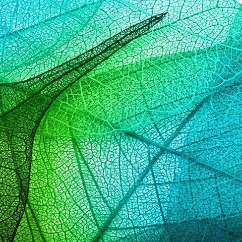 Texture Green Leaf Abstraction 3d 7  x 9  Softcover Notebook from ArtsNow.com Front Cover