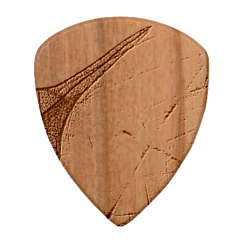 Texture Green Leaf Abstraction 3d Wood Guitar Pick (Set of 10) from ArtsNow.com Front