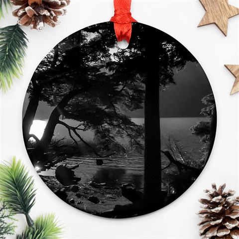 Los Alerces National Park Waterfront Landscape, Argentina002 Ornament (Round) from ArtsNow.com Front