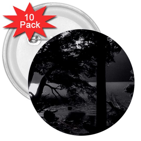 Los Alerces National Park Waterfront Landscape, Argentina002 3  Buttons (10 pack)  from ArtsNow.com Front