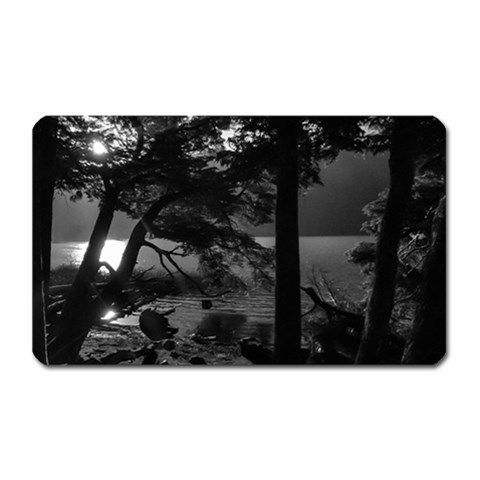 Los Alerces National Park Waterfront Landscape, Argentina002 Magnet (Rectangular) from ArtsNow.com Front