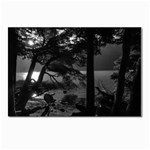 Los Alerces National Park Waterfront Landscape, Argentina002 Postcard 4 x 6  (Pkg of 10)