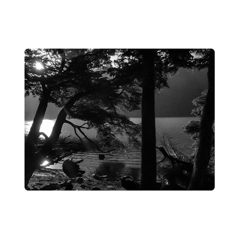 Los Alerces National Park Waterfront Landscape, Argentina002 Premium Plush Fleece Blanket (Mini) from ArtsNow.com 35 x27  Blanket Front