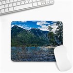 Beach At Los Alerces National Park, Chubut Province, Argentina Small Mousepad