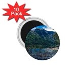 Beach At Los Alerces National Park, Chubut Province, Argentina 1.75  Magnets (10 pack) 