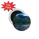 Beach At Los Alerces National Park, Chubut Province, Argentina 1.75  Magnets (100 pack) 