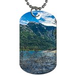 Beach At Los Alerces National Park, Chubut Province, Argentina Dog Tag (One Side)