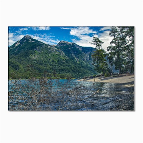 Beach At Los Alerces National Park, Chubut Province, Argentina Postcard 4 x 6  (Pkg of 10) from ArtsNow.com Front