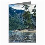 Beach At Los Alerces National Park, Chubut Province, Argentina Greeting Cards (Pkg of 8)