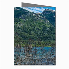 Beach At Los Alerces National Park, Chubut Province, Argentina Greeting Cards (Pkg of 8) from ArtsNow.com Right