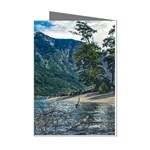 Beach At Los Alerces National Park, Chubut Province, Argentina Mini Greeting Cards (Pkg of 8)