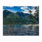 Beach At Los Alerces National Park, Chubut Province, Argentina Small Glasses Cloth