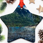 Beach At Los Alerces National Park, Chubut Province, Argentina Star Ornament (Two Sides)