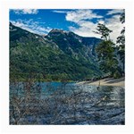 Beach At Los Alerces National Park, Chubut Province, Argentina Medium Glasses Cloth (2 Sides)