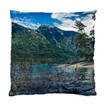 Beach At Los Alerces National Park, Chubut Province, Argentina Standard Cushion Case (Two Sides)