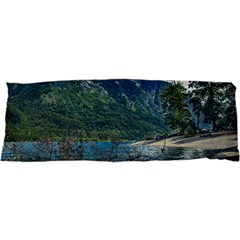 Beach At Los Alerces National Park, Chubut Province, Argentina 17 x47  Body Pillow Case Dakimakura (Two Sides) from ArtsNow.com Front