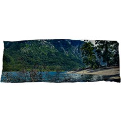 Beach At Los Alerces National Park, Chubut Province, Argentina 25 x67  Body Pillow Case Dakimakura (Two Sides) from ArtsNow.com Front