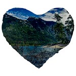 Beach At Los Alerces National Park, Chubut Province, Argentina Large 19  Premium Heart Shape Cushions