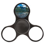 Beach At Los Alerces National Park, Chubut Province, Argentina Finger Spinner