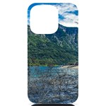 Beach At Los Alerces National Park, Chubut Province, Argentina iPhone 14 Pro Black UV Print PC Hardshell Case