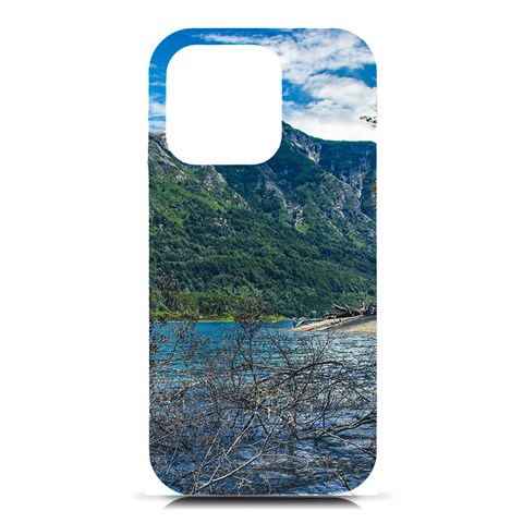 Beach At Los Alerces National Park, Chubut Province, Argentina iPhone 16 Pro Black UV Print PC Hardshell Case from ArtsNow.com Front