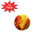 Leaves Plant Pattern Croton Nature 1  Mini Magnet (10 pack) 