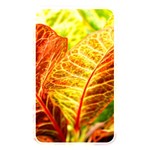 Leaves Plant Pattern Croton Nature Memory Card Reader (Rectangular)