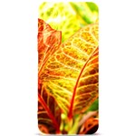 Leaves Plant Pattern Croton Nature Samsung Galaxy S24 Plus 6.7 Inch Black TPU UV Case