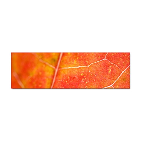 Red Leaf Sticker Bumper (100 pack) from ArtsNow.com Front