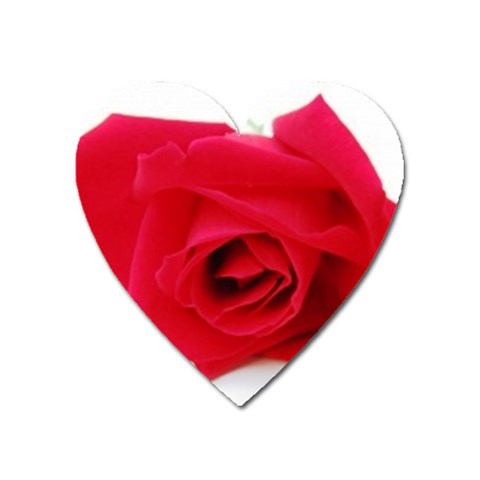 Very Red Rose  Magnet (Heart) from ArtsNow.com Front