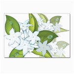 flower037 Postcard 4 x 6  (Pkg of 10)