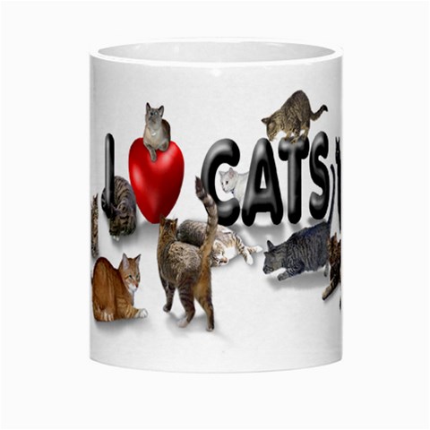 I love cats Morph Mug from ArtsNow.com Center