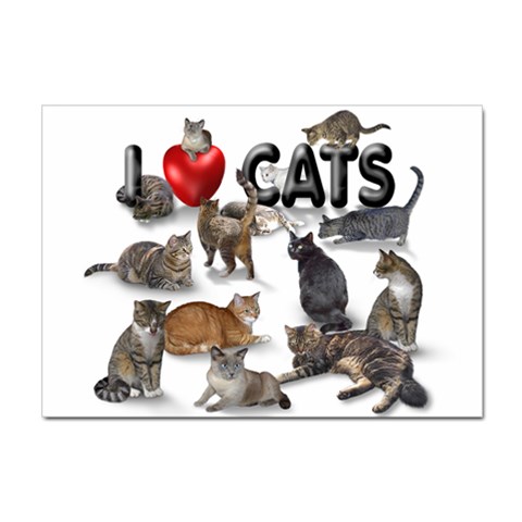 I love cats Sticker A4 (10 pack) from ArtsNow.com Front