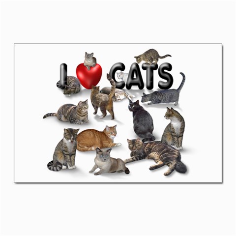 I love cats Postcard 4 x 6  (Pkg of 10) from ArtsNow.com Front